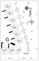 Thumbnail for version as of 07:07, 30 January 2023